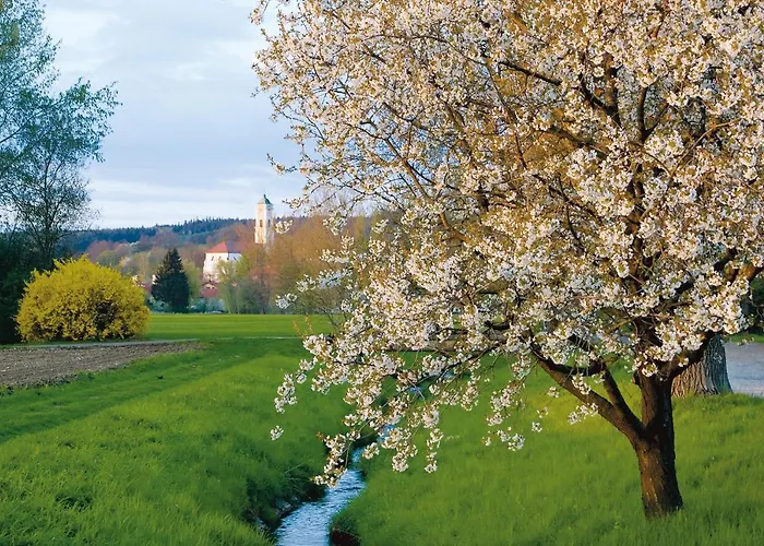 Western Birnbachhoehe Szálloda Bad Birnbach