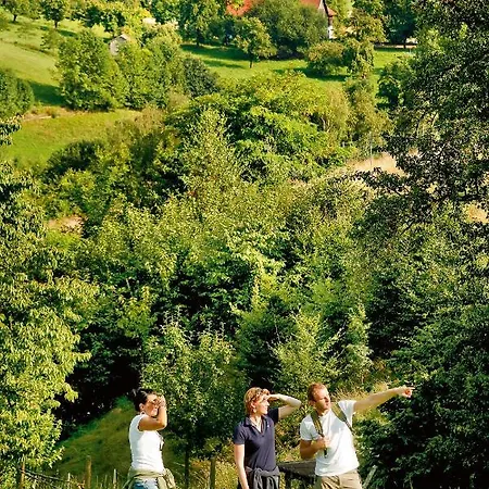 فندق Western Birnbachhoehe